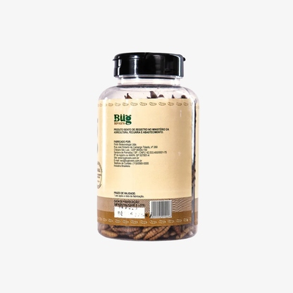 Larva Desidratada da BSF