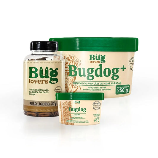 Kit BugPower